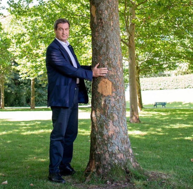 Markus Söder, Oberhaupt der pseudo-christlichen Sekte CSU umarmt einen wehrlosen Baum.