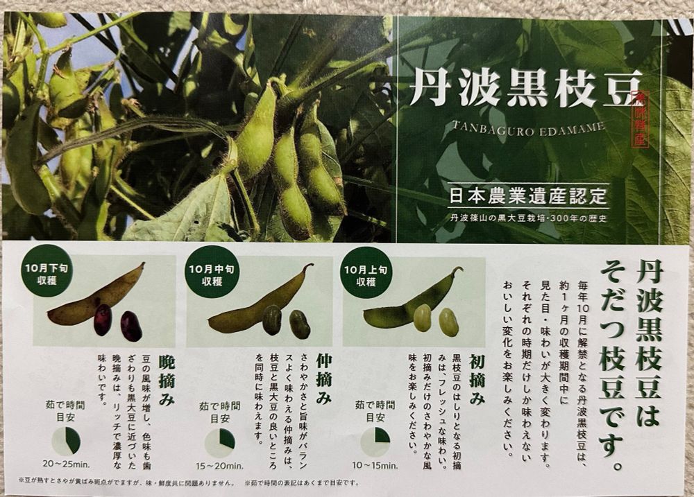 丹波黒枝豆に関するリーフレット。枝豆の写真と10月の異なる収穫時期の枝豆の特徴と茹で時間の目安などが示されている。