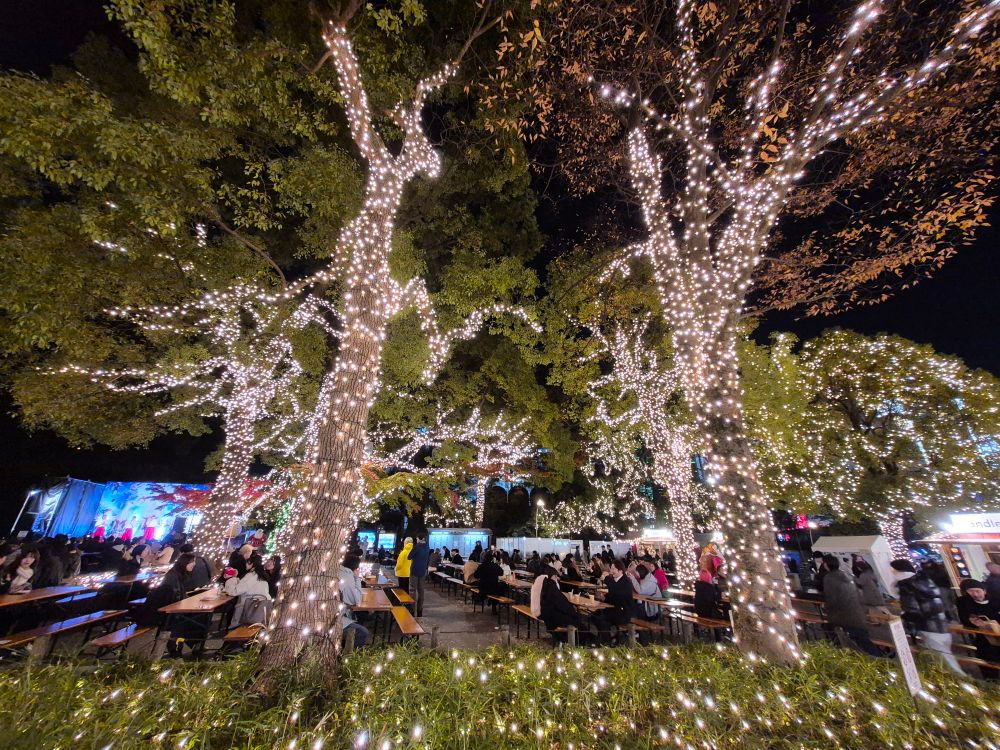 Lighted trees and crowd at a Christmas fair in a park.