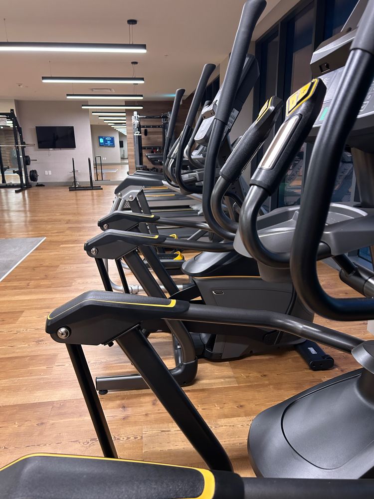 A row of half a dozen empty elliptical machines stretching back to the wall.