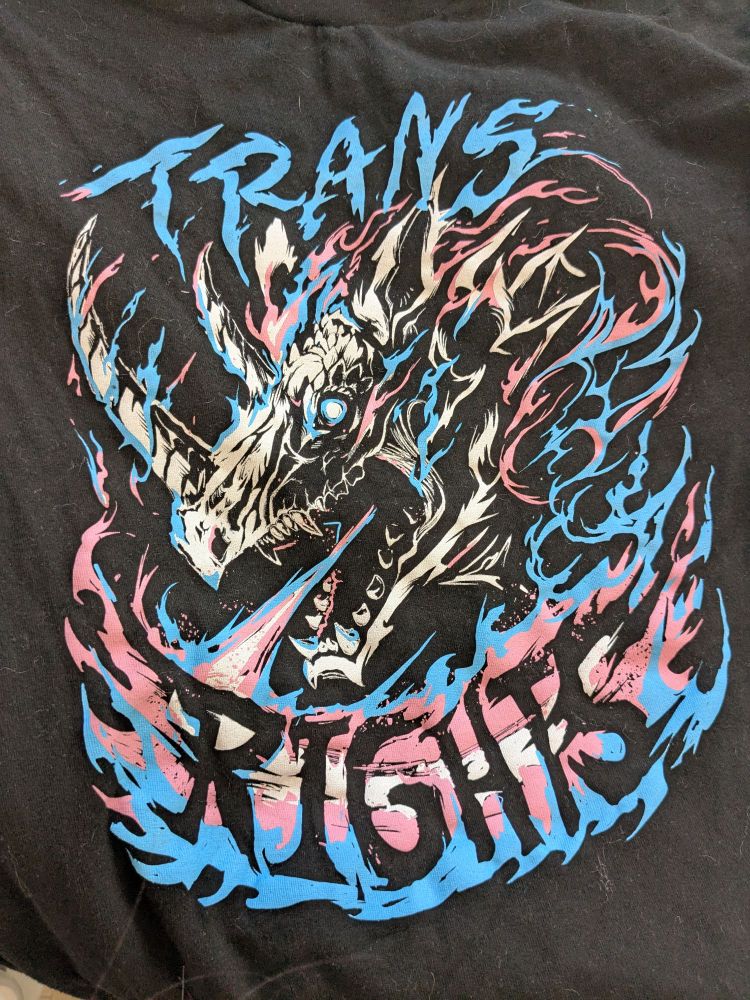 A closeup of a design on a T-shirt of a dragon breathing fire that spells out "Trans Rights." The entire thing is in the pink, blue, and white of the trans pride flag