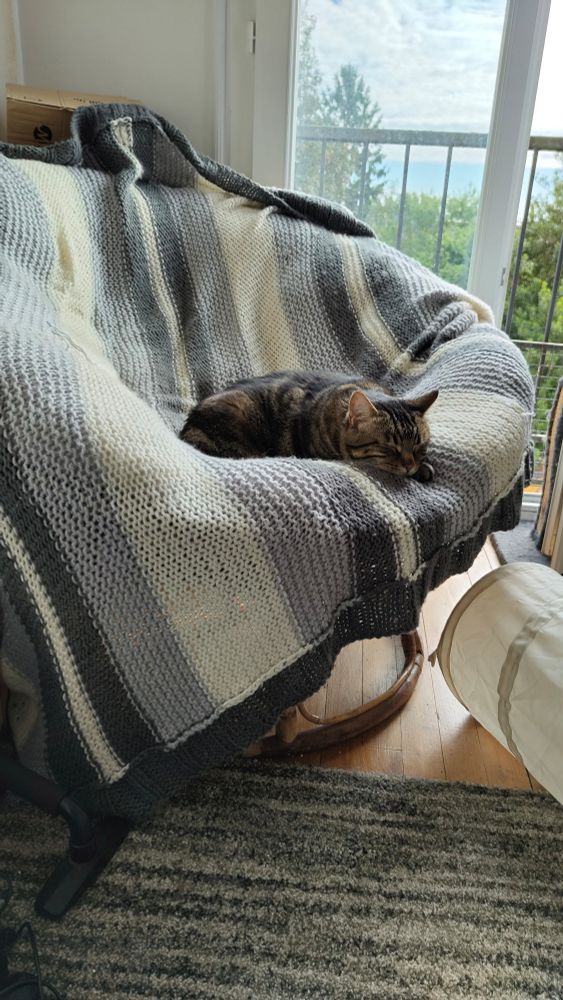 Smiling cat resting in a chair covered with a crocheted blanket