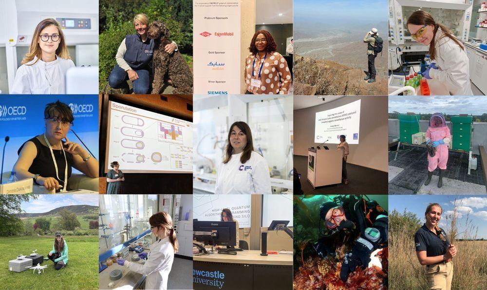 A collage of 15 images showcasing women in various STEM (Science, Technology, Engineering, and Mathematics) fields. The images depict women conducting laboratory experiments, giving presentations, working outdoors in nature, engaging in field research, operating drones, beekeeping, diving for marine studies, and participating in conferences. The settings range from laboratories and lecture halls to outdoor environments, highlighting the diversity of scientific careers.