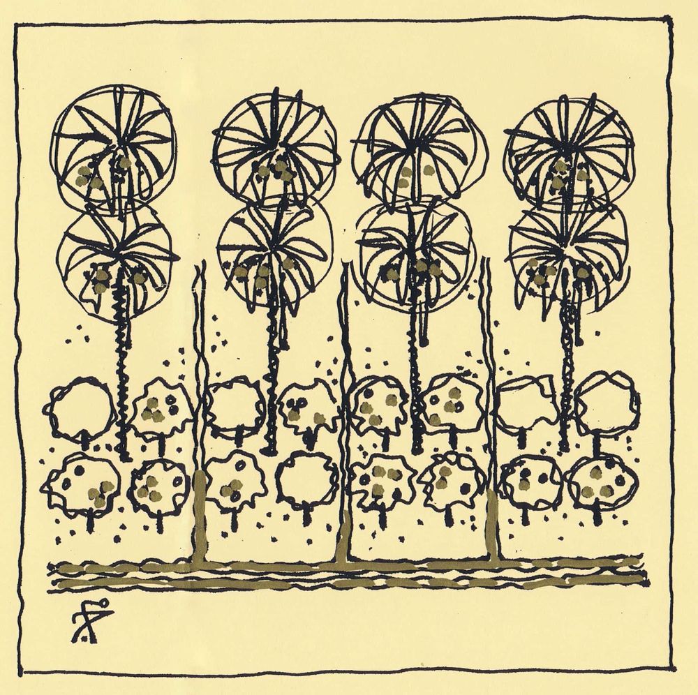 A stylized drawing of palm trees and other, shorter trees over some water.