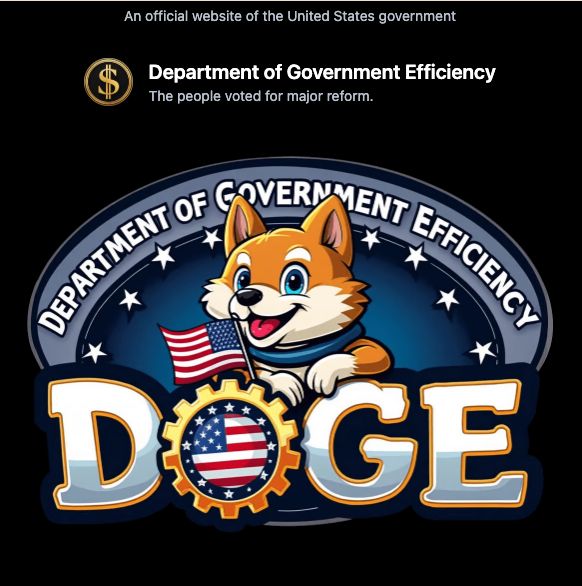 A screenshot from the official website of DOGE - Department of Government Efficiency.