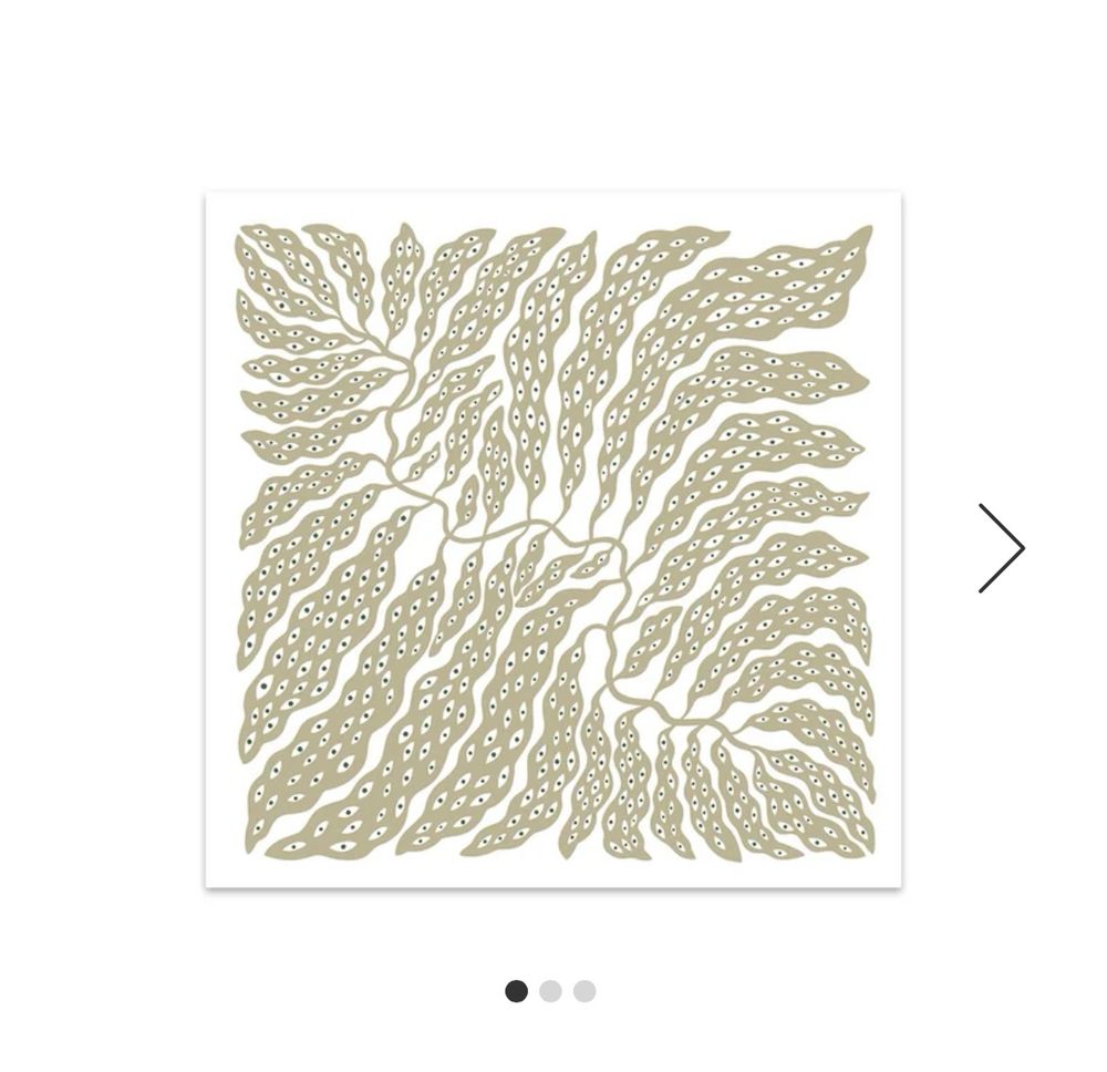 ein quadratisches bild mit einem beigen gewächs mit vielen kleinen augen auf weißem hintergrund 