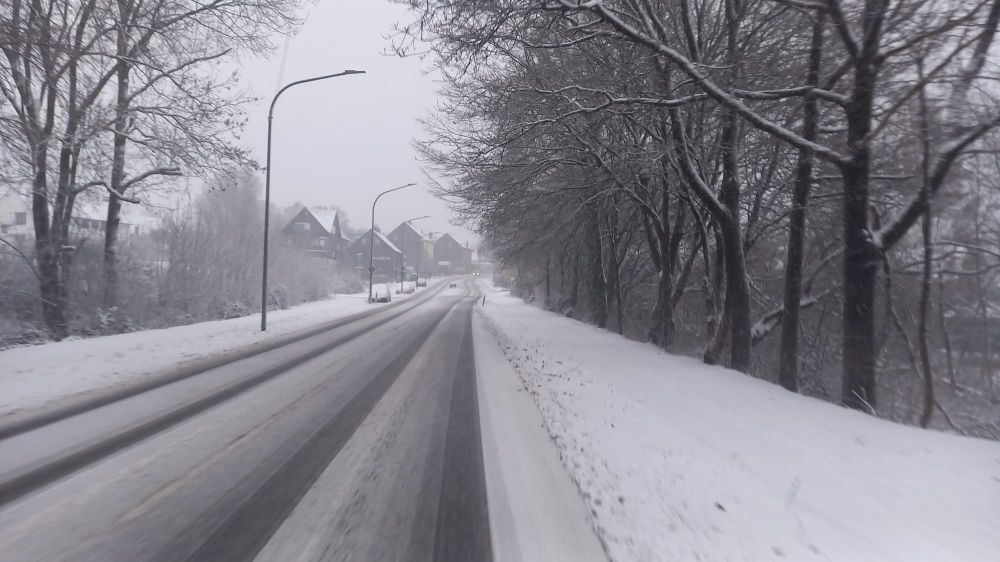 Eine verschneite Allee.