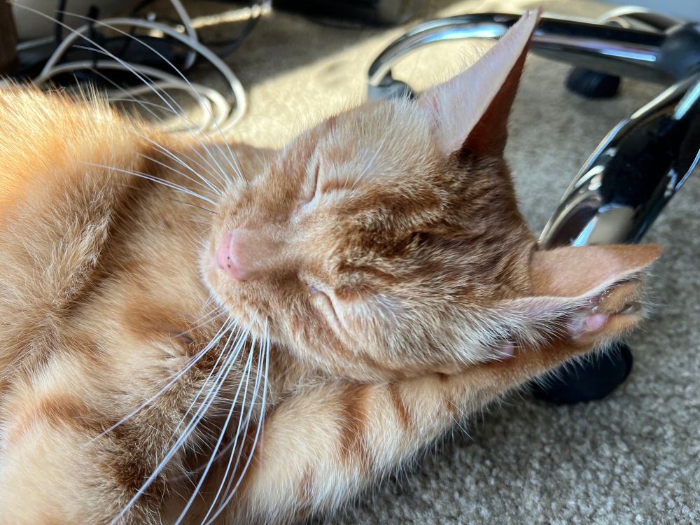 An orange cat lays on the floor taking a bath. He’s using one paw to wash behind his ear, and his eyes are closed. 
