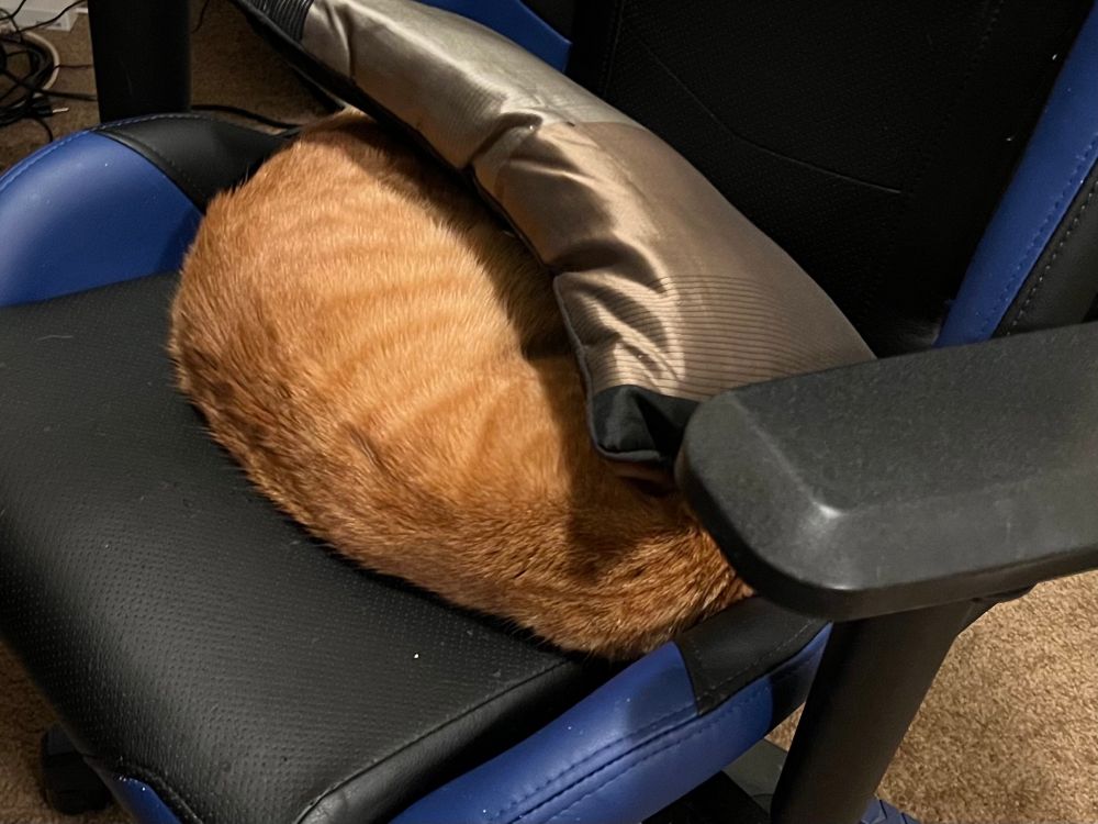 An orange cat lays on his side in a gaming-style chair. A lumbar pillow has fallen over him, hiding his head and legs. 