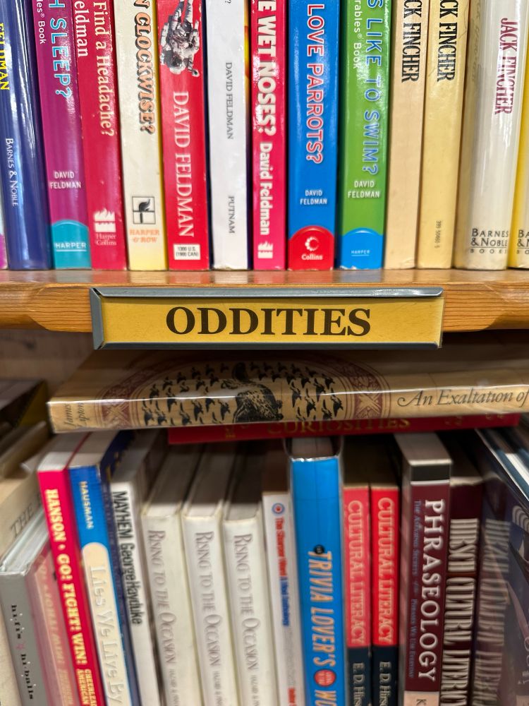Bookshelf marked with the label "oddities"