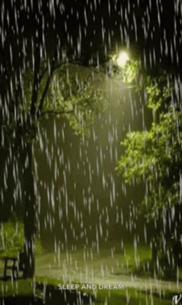 a picture of a park in the rain with the words sleep and dream on the bottom