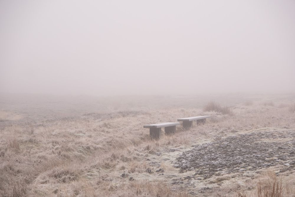 A photography of two benches on a moor that is enveloped in fog.  The tones and colours are muted with creams and pinks.