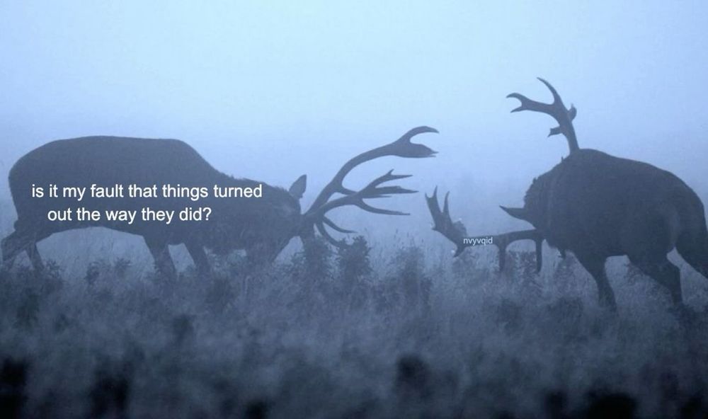 photo of two bucks, perhaps fighting each other? quote reads: “is it my fault that things turned out the way they did?”