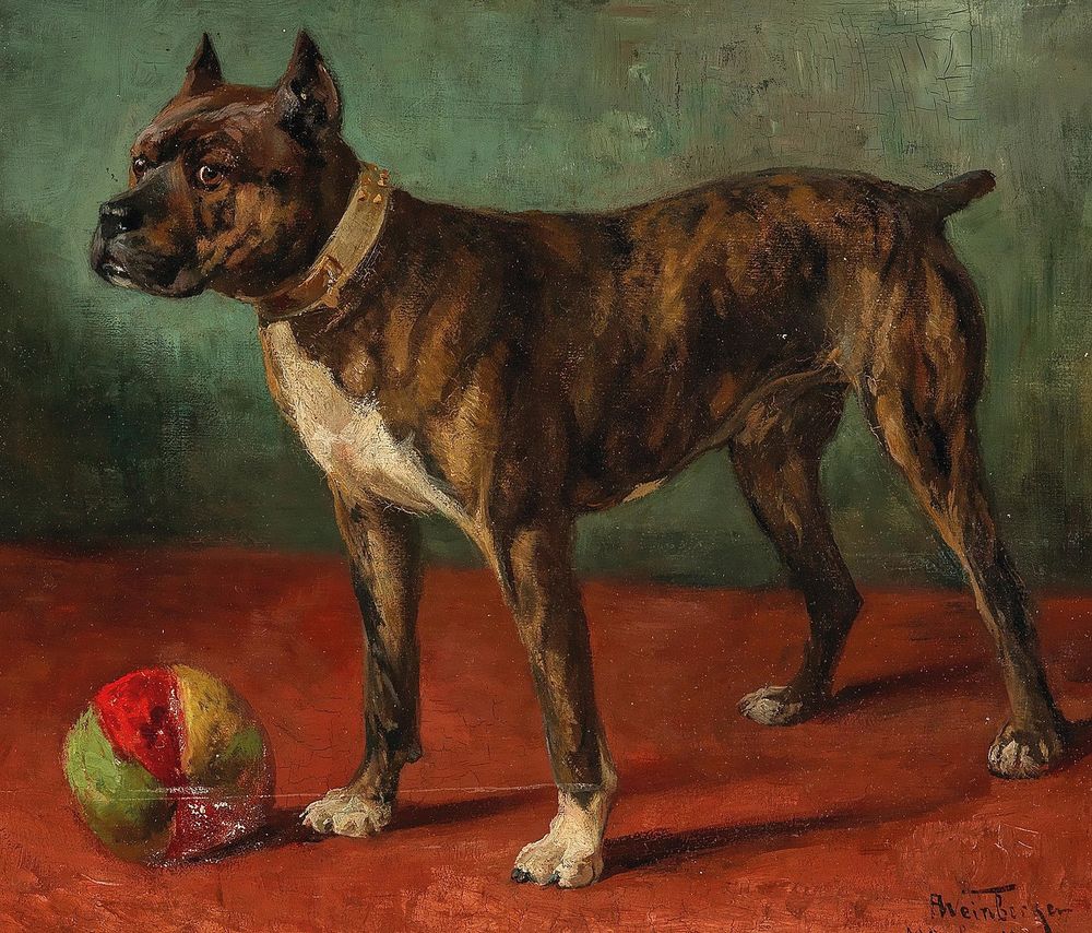 Painting of a boxer(?) dog with a little ball next to him 