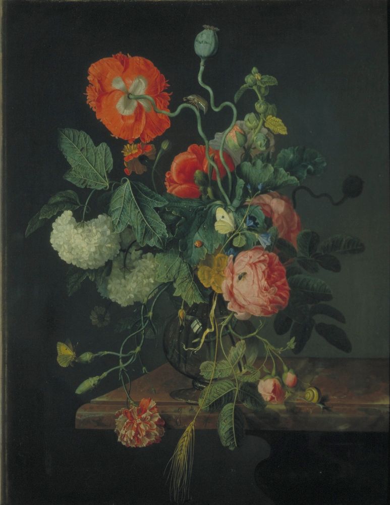 flowers in a glass vase (1667), a floral painting by Jacob van Walscapelle