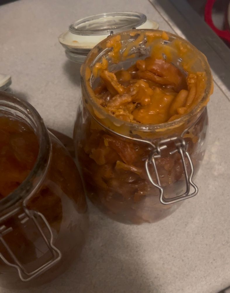 messed up batch of dulce de papaya (too much sugar! ooops)