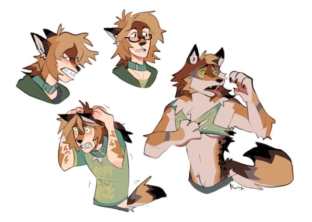Kota 🔞 (closed): 
