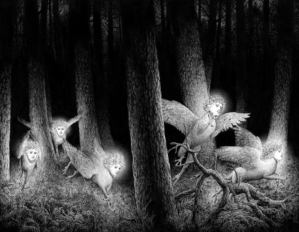 Ink drawing of a dark forest 