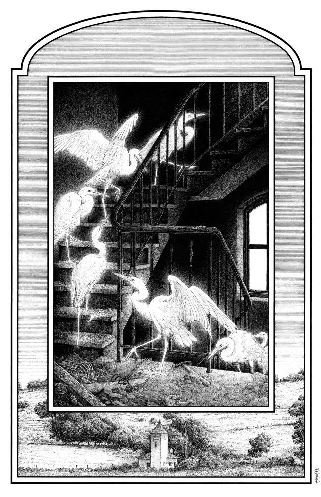 Drawing of some egrets climbing a set of stairs 