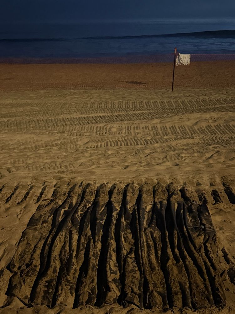 Bulldozer tracks on a beach in Carlsbad, CA