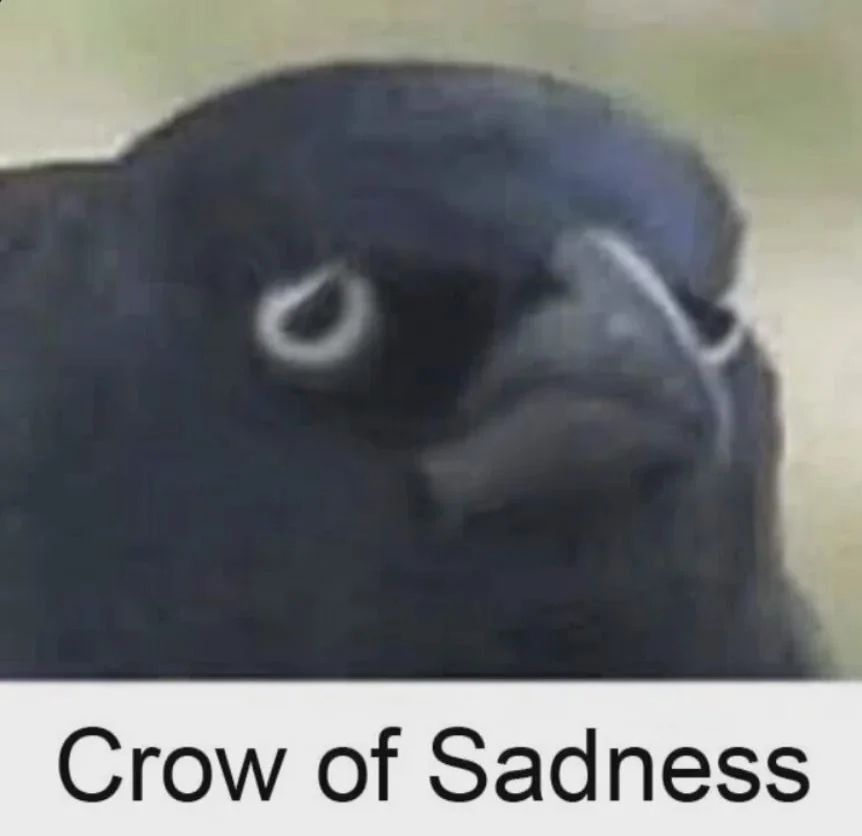 A crow edited to look sad.