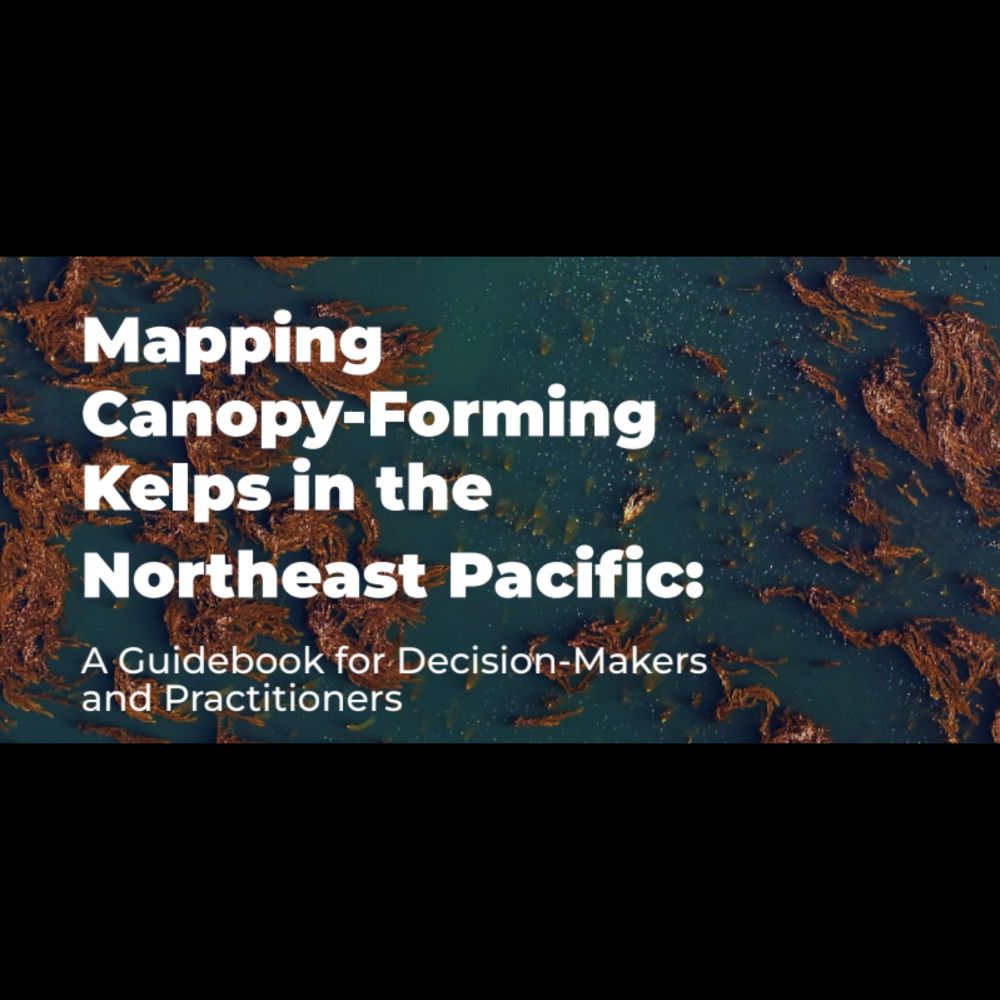 Drones, Planes, and Satellites: A Guide to Mapping Kelp from Sky and Space | Hakai Institute