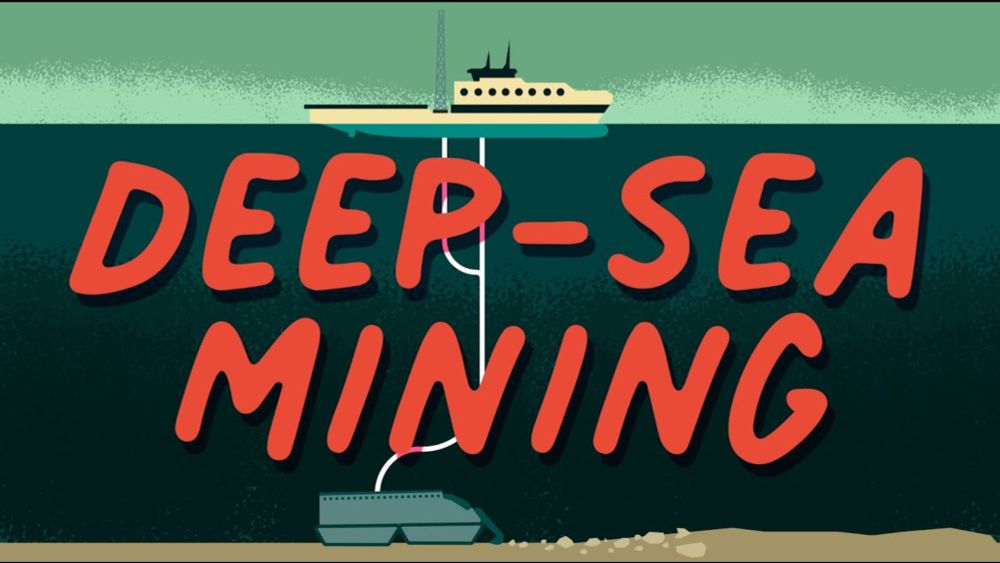 Long Story Shorts: Why Should You Care about Deep-Sea Mining?