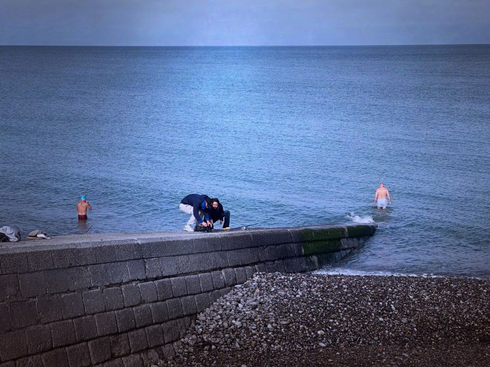 Baigneurs des pingouins 