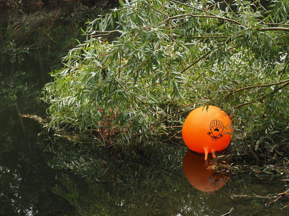 a bright orange space hopper floating in a river, a tree cascading in behind it
