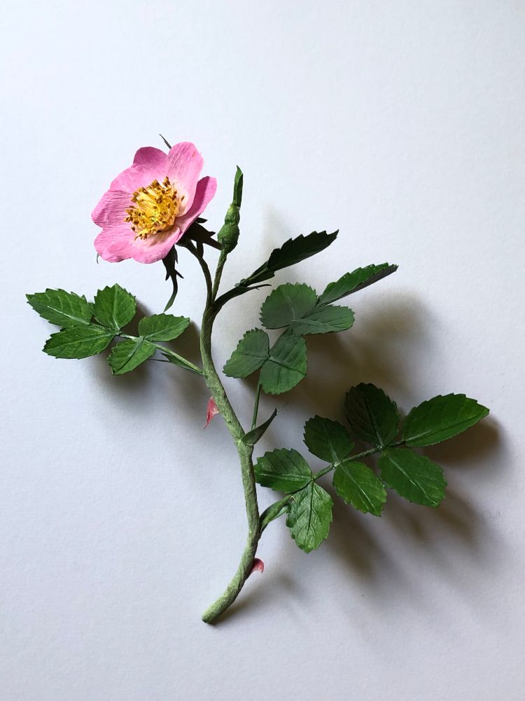 Paper sculpture of a wild rose