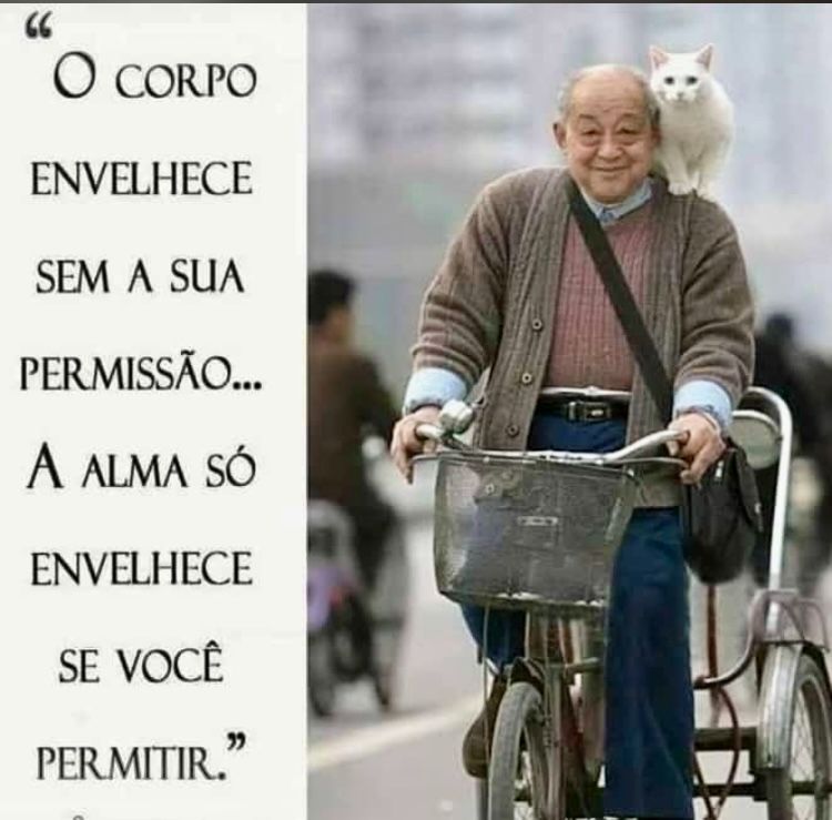“Os jovens precisavam descobrir, sem demora, que apenas o corpo envelhece; o espírito não.”