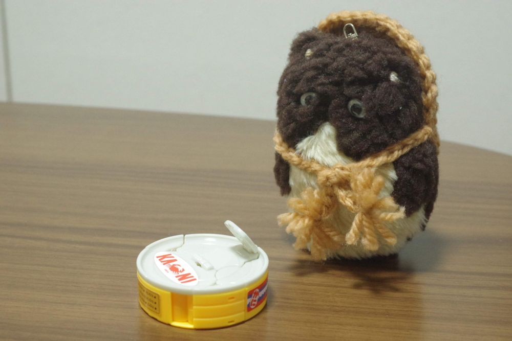 ガチャガチャのカニ缶をもらった不服そうな狸
