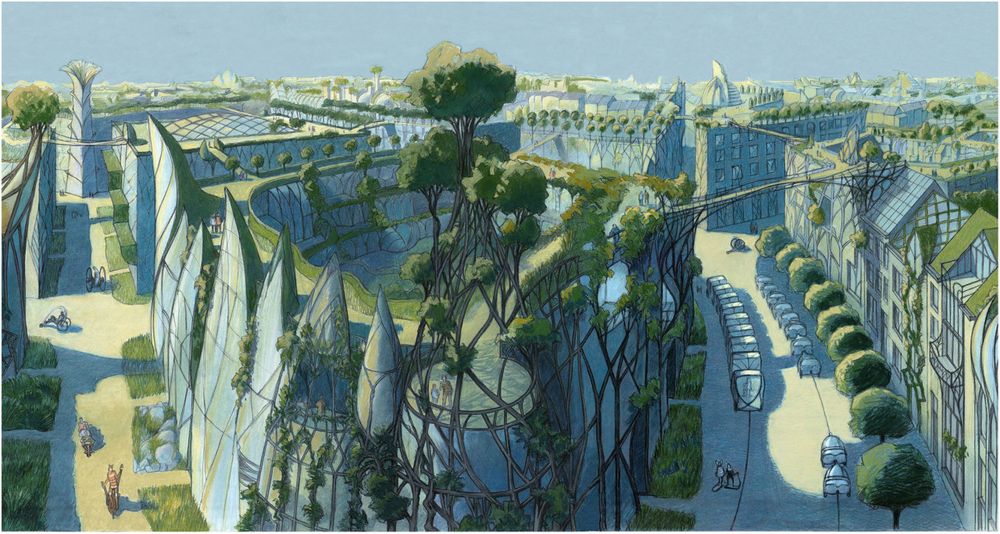 Trees above and around human made glass towers. Bridges connecting inhabited rooftops