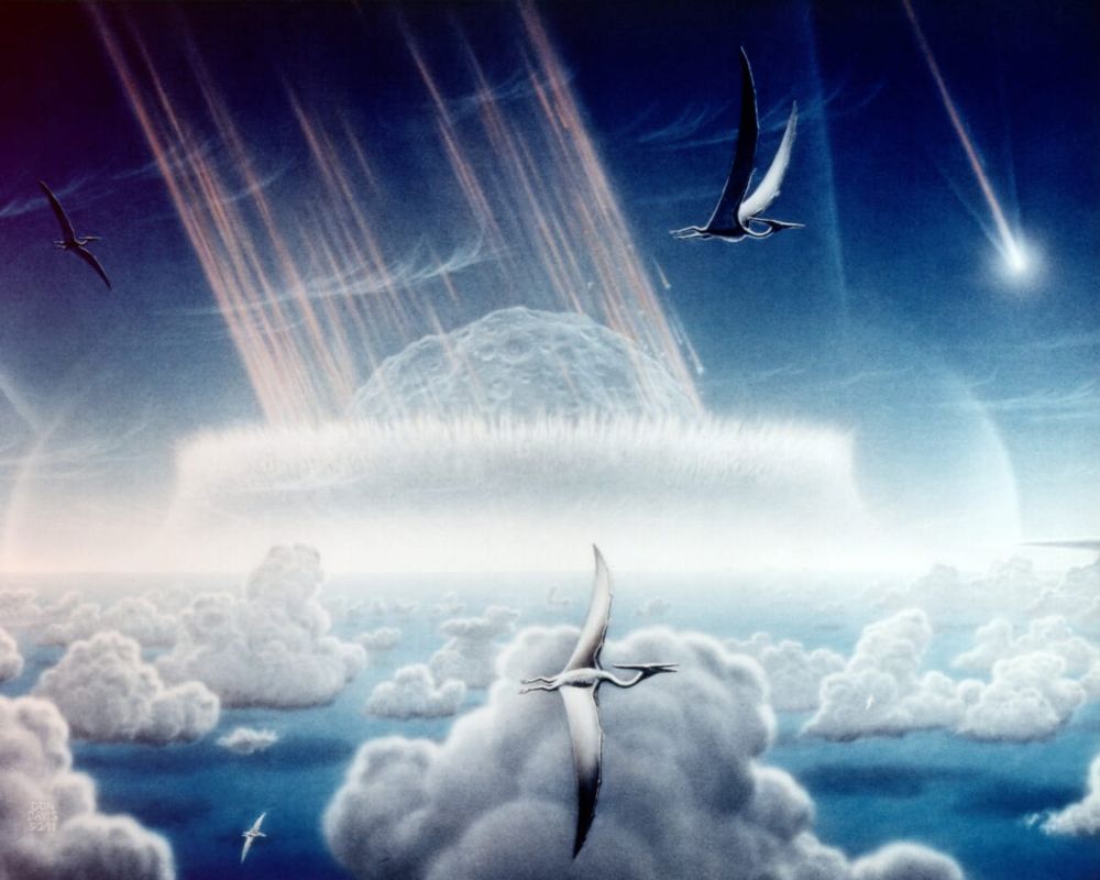 Apocalyptic Asteroid Impact Was Great for Ants