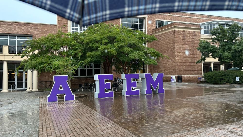 Giant letters outside that spell "AEEM". It's suppost to say "AXE EM" but the X is missing. Axe em is a school slogen for Stephen F. Austin university. 