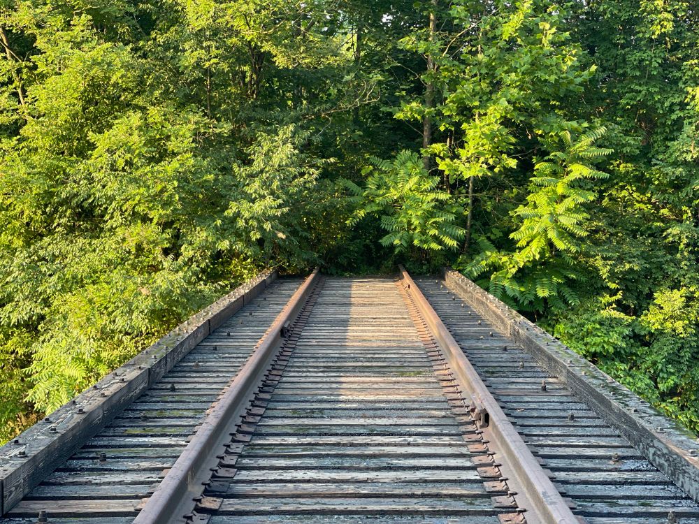 An abandoned railroad bridge over a river that leads into the woods. 
