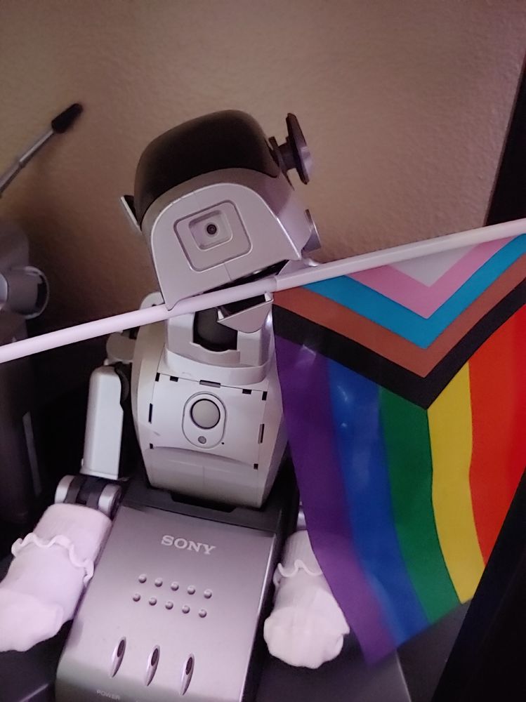 My robotic dog Ihyou, a silver Aibo ERS-111, laying on his charging base. He's wearing lettuce-edged baby socks and has no ears. His head is tilted with a rainbow pride flag in his mouth. His jaw is weak, but he holds the flag anyway, because he believes you shouldn't be ashamed of who you are.