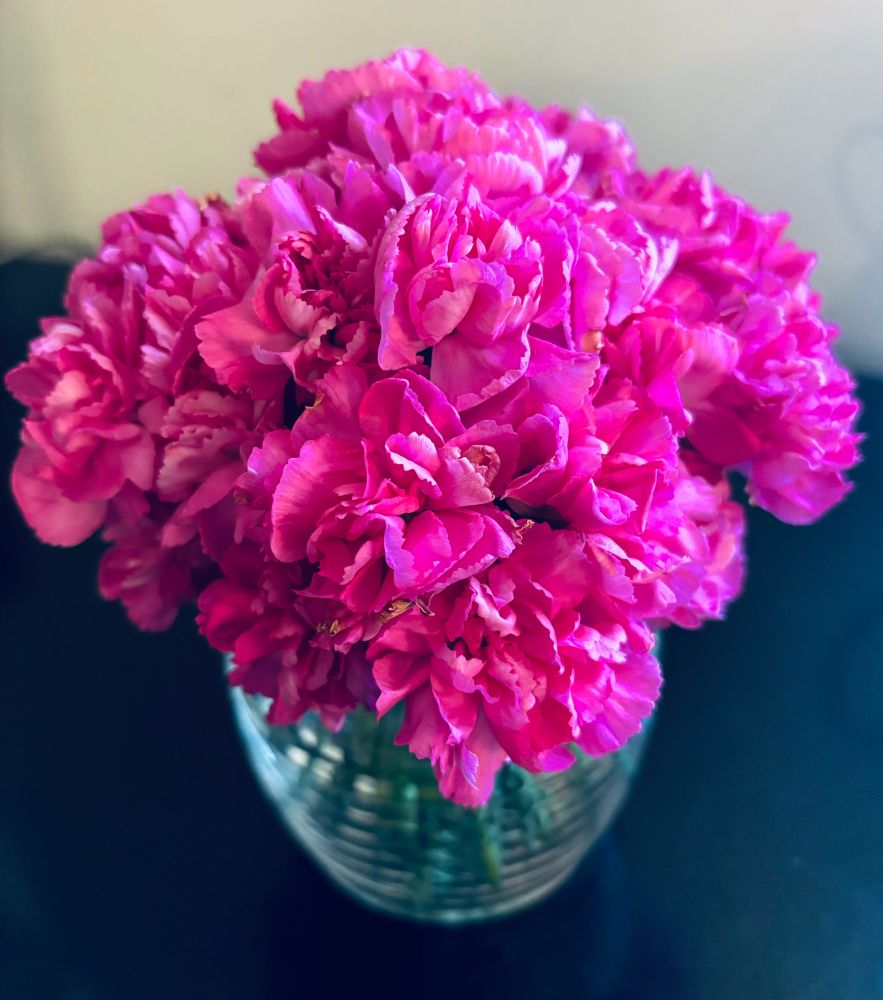 Small bunch of hot pink carnations in a jar.