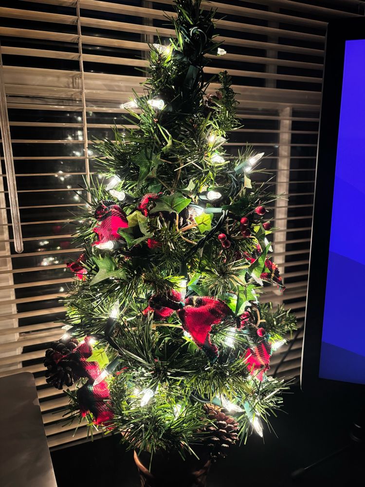 Christmas tree with white lights, pine cones and red plaid ribbons in front of a dark window.