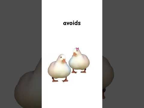 CPTSD (explained by ducks)