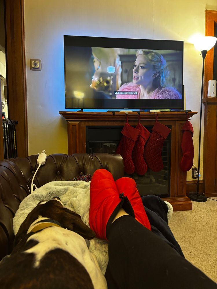 Waylon (brindle and white TWC) is splooted on the couch while Wicked plays in the background. 