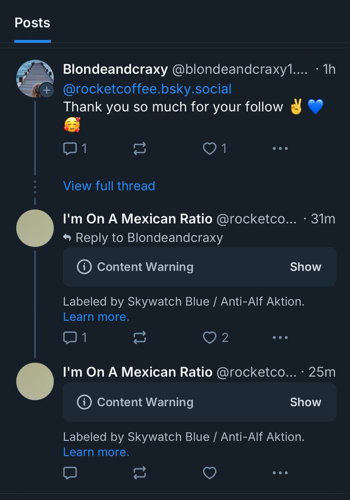 Screenshot from my rva posts feed with a labeler service applied showing “I’m on a Mexican ratio” posts hidden