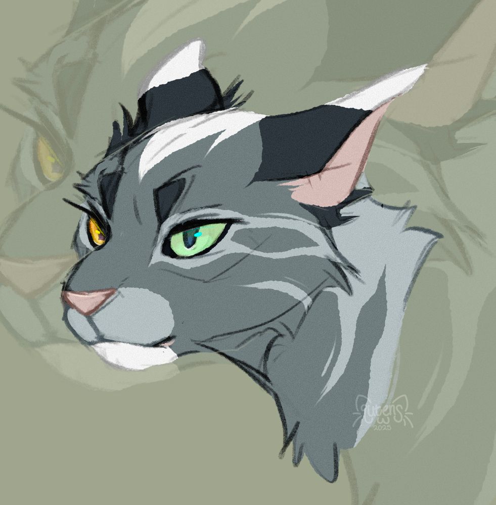 A grey tabby with a serious expression