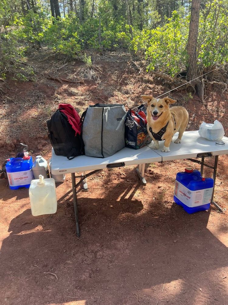 Picture of my folks' supplies ft my dog, Cheeto Puff