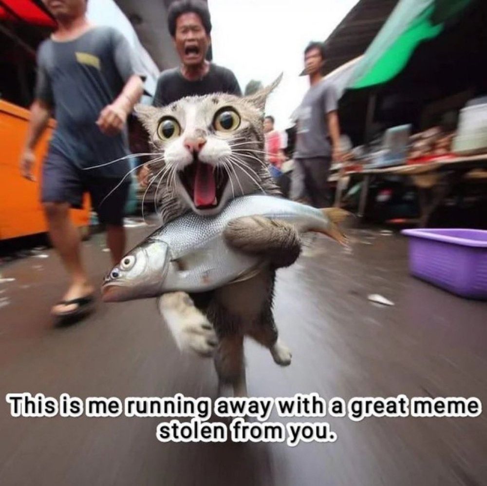 Comment image