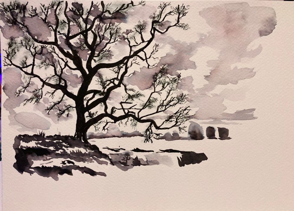 Ink drawing of a tree