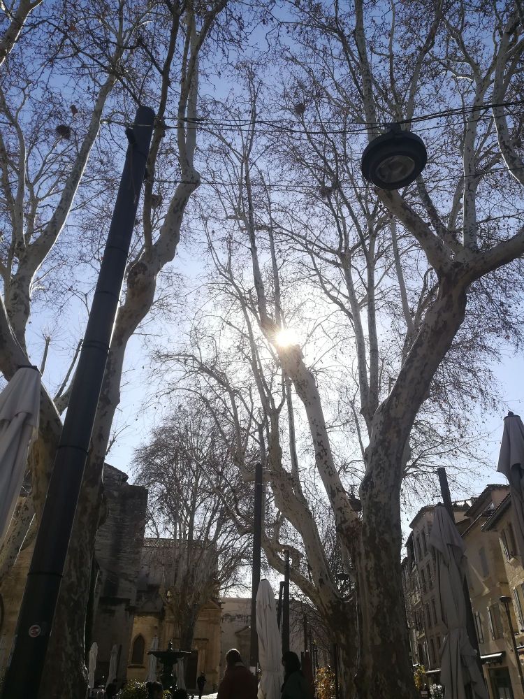 Une place ensoleillée à Avignon.