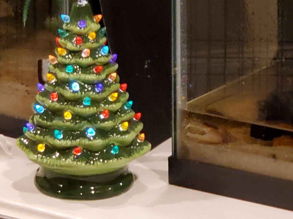 Somewhat blurry photo of an illuminated ceramic christmas tree next to the corner of an aquarium, where a male fiddler crab is sat pondering (you can really only see his giant claw).