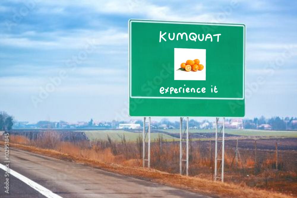 Green road sign that tells you to experience kumquat
