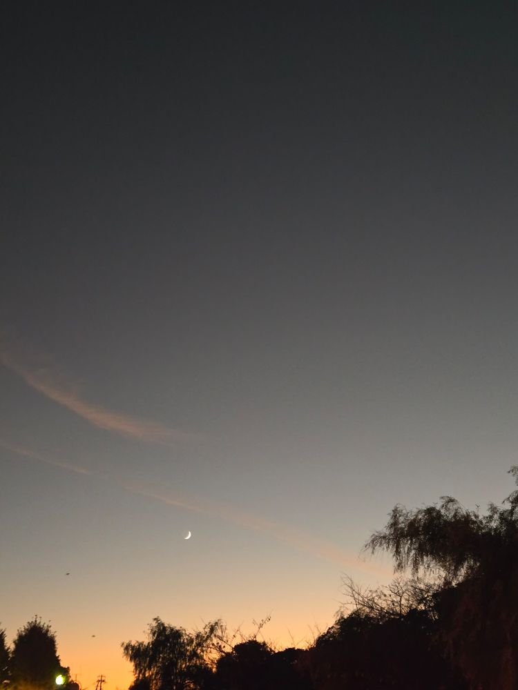 夕闇に浮かぶ三日月